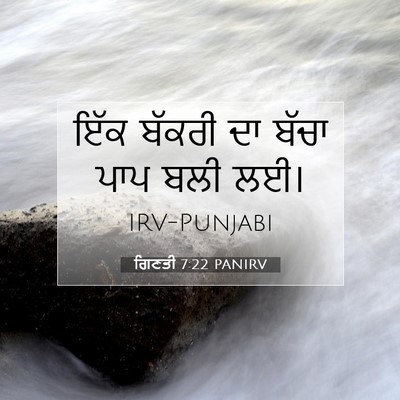 Picture 07 - ਗਿਣਤੀ 7:22 PANIRV - ਇੱਕ ਬੱਕਰੀ ਦਾ ਬੱਚਾ - Bible Verse Picture