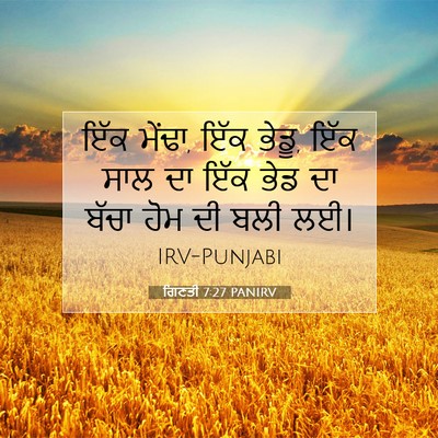 Picture 07 - ਗਿਣਤੀ 7:27 PANIRV - ਇੱਕ ਮੇਂਢਾ, ਇੱਕ - Bible Verse Picture