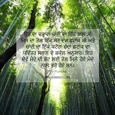 Picture 07 - ਗਿਣਤੀ 7:31 PANIRV - ਉਹ ਦਾ ਚੜ੍ਹਾਵਾ - Bible Verse Picture