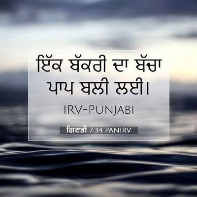 Picture 07 - ਗਿਣਤੀ 7:34 PANIRV - ਇੱਕ ਬੱਕਰੀ ਦਾ ਬੱਚਾ - Bible Verse Picture