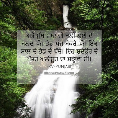 Picture 07 - ਗਿਣਤੀ 7:35 PANIRV - ਅਤੇ ਸੁੱਖ-ਸਾਂਦ ਦੀ - Bible Verse Picture