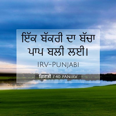 Picture 07 - ਗਿਣਤੀ 7:40 PANIRV - ਇੱਕ ਬੱਕਰੀ ਦਾ ਬੱਚਾ - Bible Verse Picture