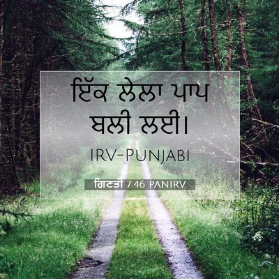 Picture 07 - ਗਿਣਤੀ 7:46 PANIRV - ਇੱਕ ਲੇਲਾ ਪਾਪ ਬਲੀ - Bible Verse Picture