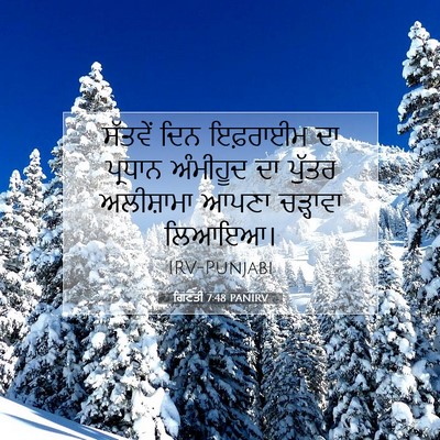 Picture 07 - ਗਿਣਤੀ 7:48 PANIRV - ਸੱਤਵੇਂ ਦਿਨ - Bible Verse Picture