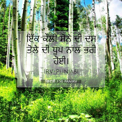 Picture 07 - ਗਿਣਤੀ 7:50 PANIRV - ਇੱਕ ਕੌਲੀ ਸੋਨੇ ਦੀ ਦਸ - Bible Verse Picture