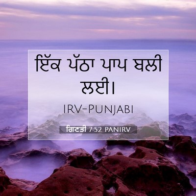 Picture 07 - ਗਿਣਤੀ 7:52 PANIRV - ਇੱਕ ਪੱਠਾ ਪਾਪ ਬਲੀ - Bible Verse Picture