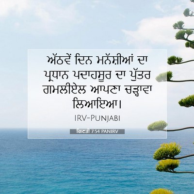 Picture 07 - ਗਿਣਤੀ 7:54 PANIRV - ਅੱਠਵੇਂ ਦਿਨ - Bible Verse Picture