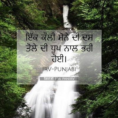 Picture 07 - ਗਿਣਤੀ 7:56 PANIRV - ਇੱਕ ਕੌਲੀ ਸੋਨੇ ਦੀ ਦਸ - Bible Verse Picture