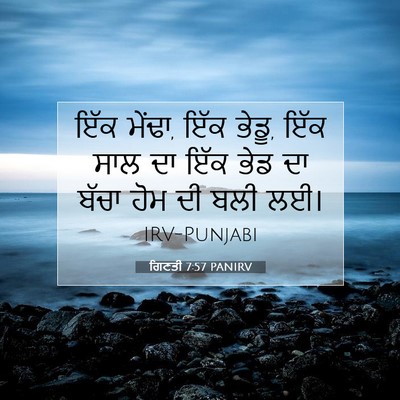 Picture 07 - ਗਿਣਤੀ 7:57 PANIRV - ਇੱਕ ਮੇਂਢਾ, ਇੱਕ - Bible Verse Picture