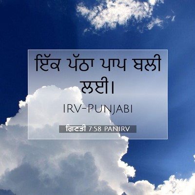 Picture 07 - ਗਿਣਤੀ 7:58 PANIRV - ਇੱਕ ਪੱਠਾ ਪਾਪ ਬਲੀ - Bible Verse Picture