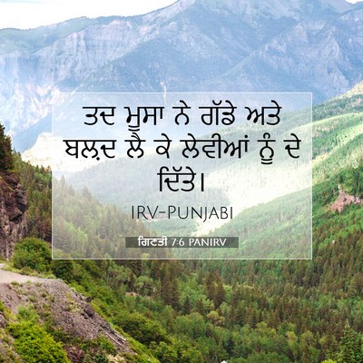 Picture 07 - ਗਿਣਤੀ 7:6 PANIRV - ਤਦ ਮੂਸਾ ਨੇ ਗੱਡੇ ਅਤੇ - Bible Verse Picture