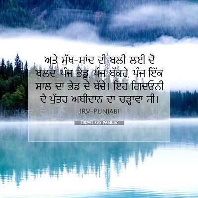 Picture 07 - ਗਿਣਤੀ 7:65 PANIRV - ਅਤੇ ਸੁੱਖ-ਸਾਂਦ ਦੀ - Bible Verse Picture