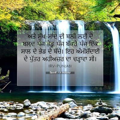 Picture 07 - ਗਿਣਤੀ 7:71 PANIRV - ਅਤੇ ਸੁੱਖ-ਸਾਂਦ ਦੀ - Bible Verse Picture