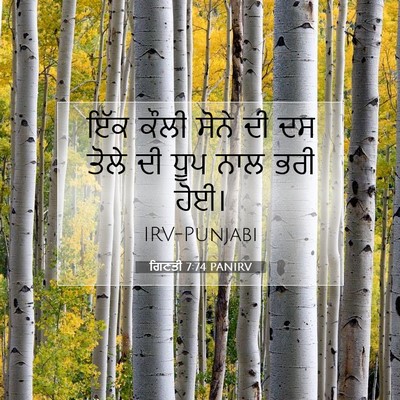 Picture 07 - ਗਿਣਤੀ 7:74 PANIRV - ਇੱਕ ਕੌਲੀ ਸੋਨੇ ਦੀ ਦਸ - Bible Verse Picture