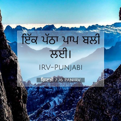 Picture 07 - ਗਿਣਤੀ 7:76 PANIRV - ਇੱਕ ਪੱਠਾ ਪਾਪ ਬਲੀ - Bible Verse Picture
