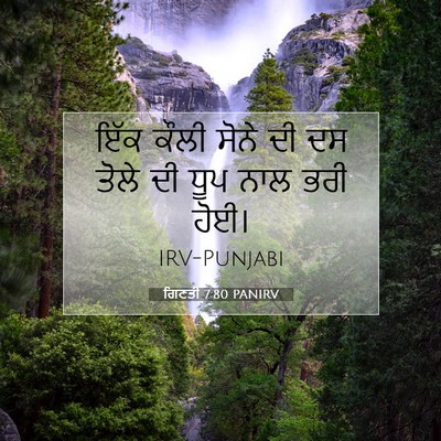Picture 07 - ਗਿਣਤੀ 7:80 PANIRV - ਇੱਕ ਕੌਲੀ ਸੋਨੇ ਦੀ ਦਸ - Bible Verse Picture