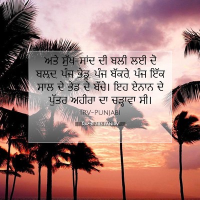 Picture 07 - ਗਿਣਤੀ 7:83 PANIRV - ਅਤੇ ਸੁੱਖ-ਸਾਂਦ ਦੀ - Bible Verse Picture