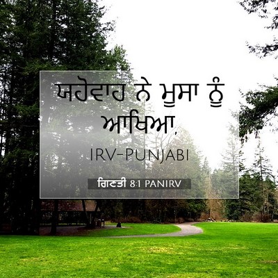 Picture 07 - ਗਿਣਤੀ 8:1 PANIRV - ਯਹੋਵਾਹ ਨੇ ਮੂਸਾ ਨੂੰ - Bible Verse Picture