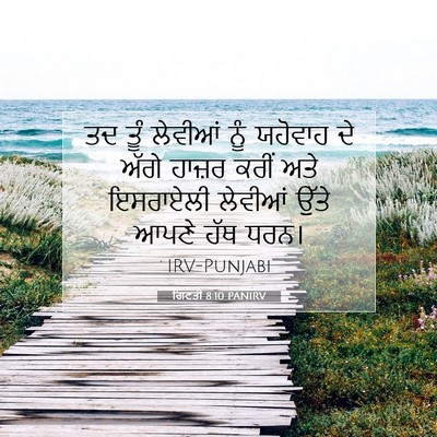 Picture 07 - ਗਿਣਤੀ 8:10 PANIRV - ਤਦ ਤੂੰ ਲੇਵੀਆਂ ਨੂੰ - Bible Verse Picture
