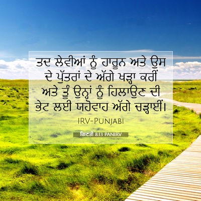 Picture 07 - ਗਿਣਤੀ 8:13 PANIRV - ਤਦ ਲੇਵੀਆਂ ਨੂੰ - Bible Verse Picture