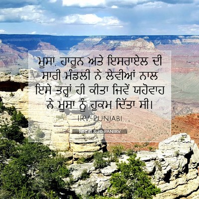 Picture 07 - ਗਿਣਤੀ 8:20 PANIRV - ਮੂਸਾ, ਹਾਰੂਨ ਅਤੇ - Bible Verse Picture