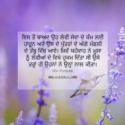 Picture 07 - ਗਿਣਤੀ 8:22 PANIRV - ਇਸ ਤੋਂ ਬਾਅਦ ਉਹ ਲੇਵੀ - Bible Verse Picture