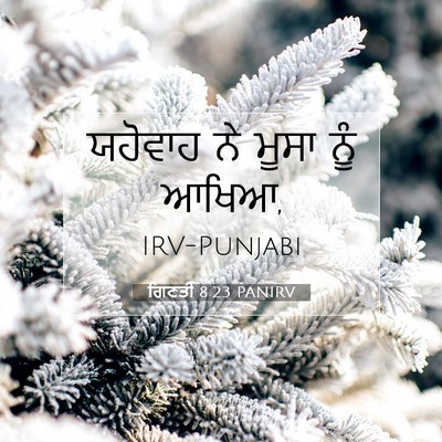 Picture 07 - ਗਿਣਤੀ 8:23 PANIRV - ਯਹੋਵਾਹ ਨੇ ਮੂਸਾ ਨੂੰ - Bible Verse Picture