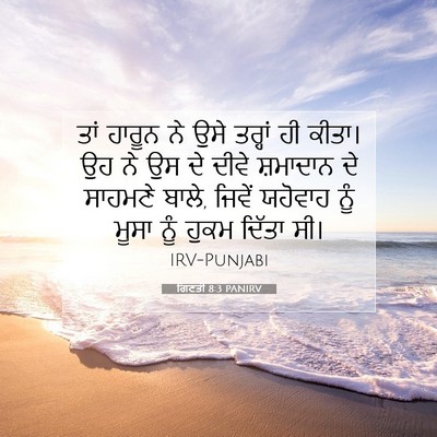 Picture 07 - ਗਿਣਤੀ 8:3 PANIRV - ਤਾਂ ਹਾਰੂਨ ਨੇ ਉਸੇ - Bible Verse Picture
