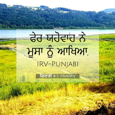 Picture 07 - ਗਿਣਤੀ 8:5 PANIRV - ਫੇਰ ਯਹੋਵਾਹ ਨੇ ਮੂਸਾ - Bible Verse Picture