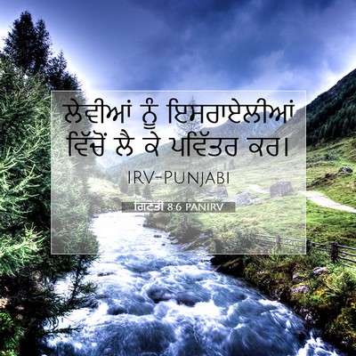 Picture 07 - ਗਿਣਤੀ 8:6 PANIRV - ਲੇਵੀਆਂ ਨੂੰ - Bible Verse Picture