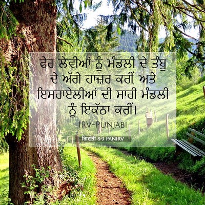 Picture 07 - ਗਿਣਤੀ 8:9 PANIRV - ਫੇਰ ਲੇਵੀਆਂ ਨੂੰ - Bible Verse Picture
