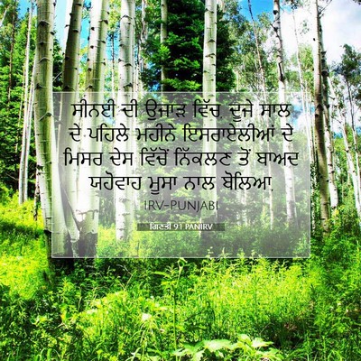 Picture 07 - ਗਿਣਤੀ 9:1 PANIRV - ਸੀਨਈ ਦੀ ਉਜਾੜ ਵਿੱਚ, - Bible Verse Picture