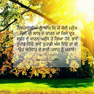 Picture 07 - ਗਿਣਤੀ 9:10 PANIRV - ਇਸਰਾਏਲੀਆਂ ਨੂੰ ਆਖ - Bible Verse Picture