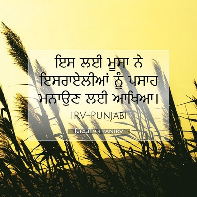 Picture 07 - ਗਿਣਤੀ 9:4 PANIRV - ਇਸ ਲਈ ਮੂਸਾ ਨੇ - Bible Verse Picture