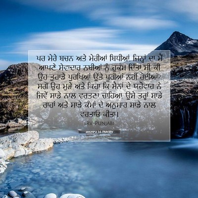 Picture 07 - ਜ਼ਕਰਯਾਹ 1:6 PANIRV - ਪਰ ਮੇਰੇ ਬਚਨ ਅਤੇ - Bible Verse Picture