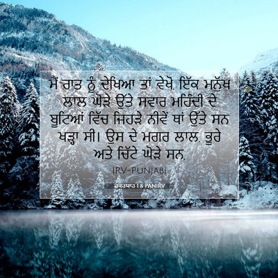 Picture 07 - ਜ਼ਕਰਯਾਹ 1:8 PANIRV - ਮੈਂ ਰਾਤ ਨੂੰ ਦੇਖਿਆ - Bible Verse Picture