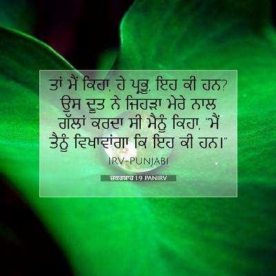 Picture 07 - ਜ਼ਕਰਯਾਹ 1:9 PANIRV - ਤਾਂ ਮੈਂ ਕਿਹਾ, ਹੇ - Bible Verse Picture