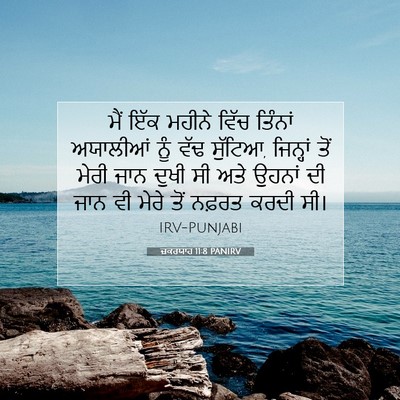 Picture 07 - ਜ਼ਕਰਯਾਹ 11:8 PANIRV - ਮੈਂ ਇੱਕ ਮਹੀਨੇ ਵਿੱਚ - Bible Verse Picture