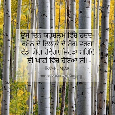 Picture 07 - ਜ਼ਕਰਯਾਹ 12:11 PANIRV - ਉਸ ਦਿਨ ਯਰੂਸ਼ਲਮ - Bible Verse Picture