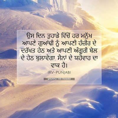 Picture 07 - ਜ਼ਕਰਯਾਹ 3:10 PANIRV - ਉਸ ਦਿਨ ਤੁਹਾਡੇ - Bible Verse Picture