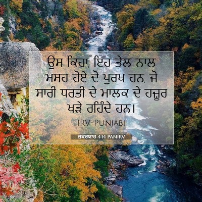 Picture 07 - ਜ਼ਕਰਯਾਹ 4:14 PANIRV - ਉਸ ਕਿਹਾ, ਇਹ ਤੇਲ ਨਾਲ - Bible Verse Picture