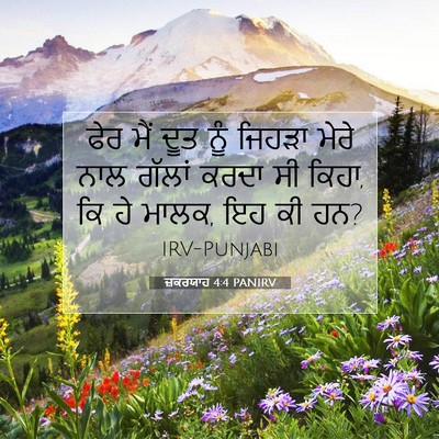 Picture 07 - ਜ਼ਕਰਯਾਹ 4:4 PANIRV - ਫੇਰ ਮੈਂ ਦੂਤ ਨੂੰ - Bible Verse Picture