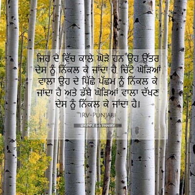 Picture 07 - ਜ਼ਕਰਯਾਹ 6:6 PANIRV - ਜਿਹ ਦੇ ਵਿੱਚ ਕਾਲੇ - Bible Verse Picture