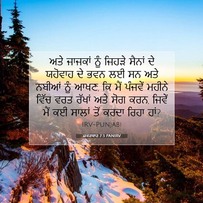 Picture 07 - ਜ਼ਕਰਯਾਹ 7:3 PANIRV - ਅਤੇ ਜਾਜਕਾਂ ਨੂੰ - Bible Verse Picture