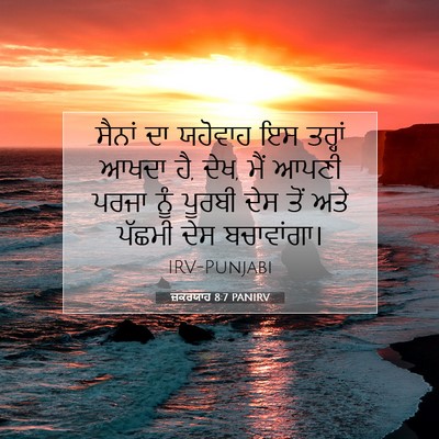 Picture 07 - ਜ਼ਕਰਯਾਹ 8:7 PANIRV - ਸੈਨਾਂ ਦਾ ਯਹੋਵਾਹ ਇਸ - Bible Verse Picture