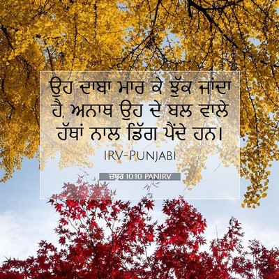 Picture 07 - ਜ਼ਬੂਰ 10:10 PANIRV - ਉਹ ਦਾਬਾ ਮਾਰ ਕੇ ਝੁੱਕ - Bible Verse Picture