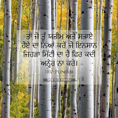 Picture 07 - ਜ਼ਬੂਰ 10:18 PANIRV - ਤਾਂ ਜੋ ਤੂੰ ਯਤੀਮ ਅਤੇ - Bible Verse Picture