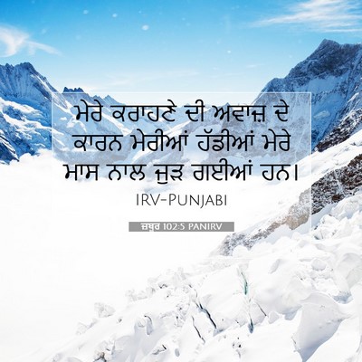 Picture 07 - ਜ਼ਬੂਰ 102:5 PANIRV - ਮੇਰੇ ਕਰਾਹਣੇ ਦੀ - Bible Verse Picture