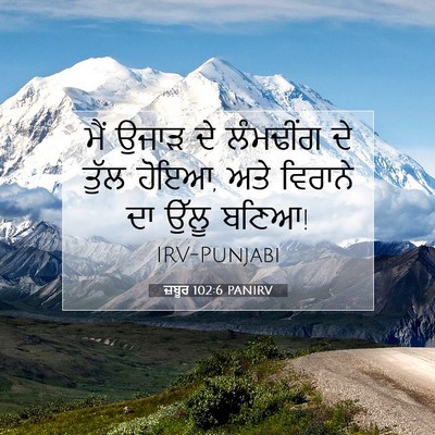 Picture 07 - ਜ਼ਬੂਰ 102:6 PANIRV - ਮੈਂ ਉਜਾੜ ਦੇ - Bible Verse Picture