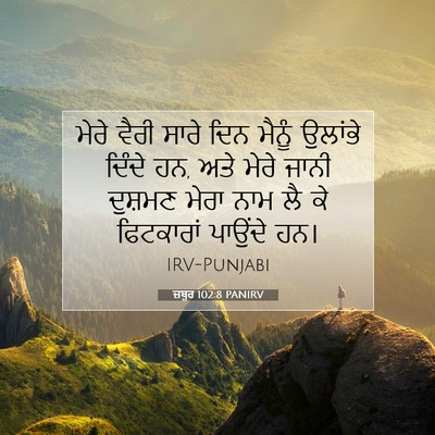 Picture 07 - ਜ਼ਬੂਰ 102:8 PANIRV - ਮੇਰੇ ਵੈਰੀ ਸਾਰੇ ਦਿਨ - Bible Verse Picture